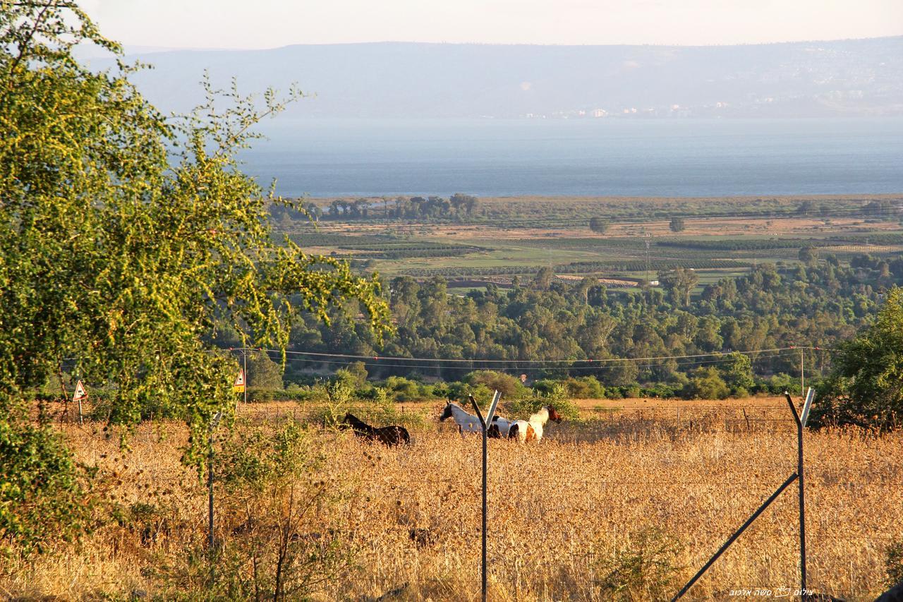 Nof Kinneret Cabins Хад-Нес Экстерьер фото